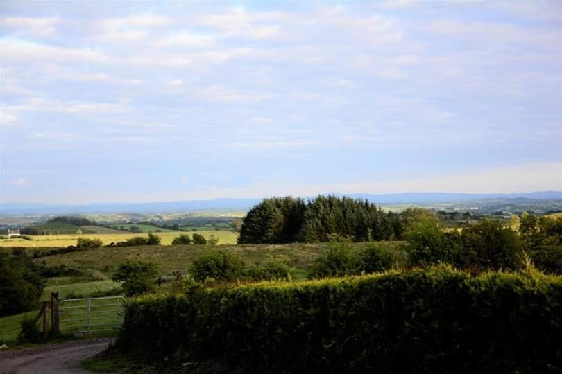 Crockgarve B And B Galbally Exterior foto